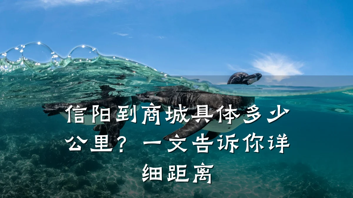 信阳到商城具体多少公里？一文告诉你详细距离
