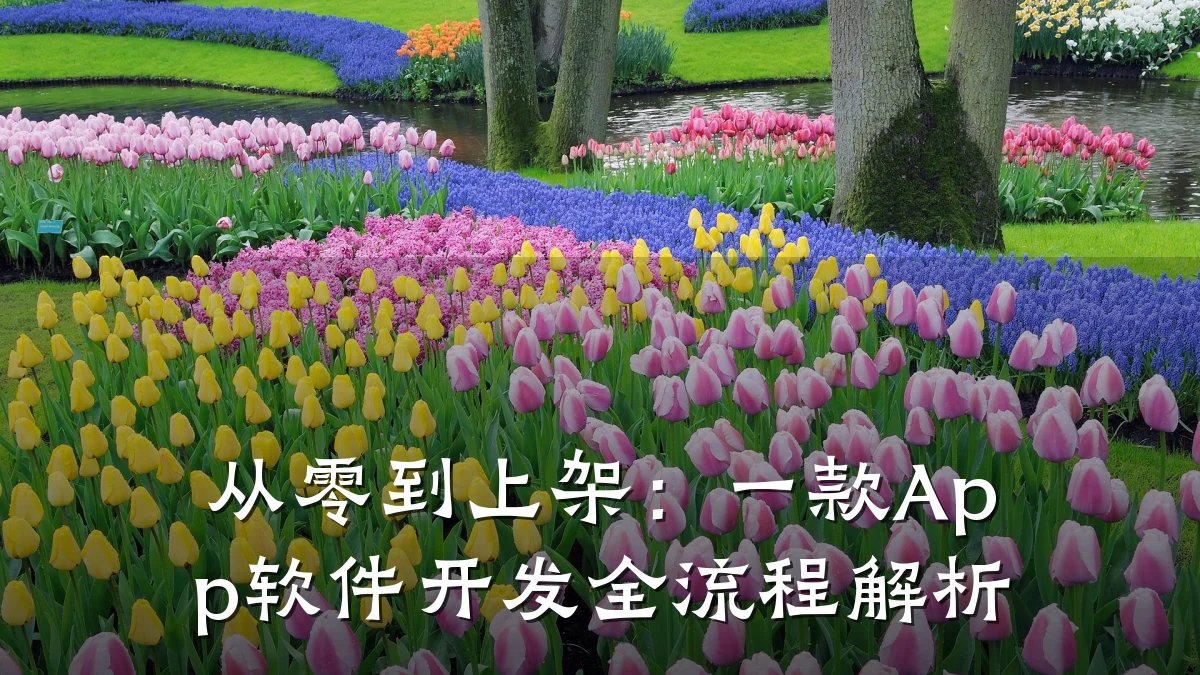 从零到上架:一款App软件开发全流程解析