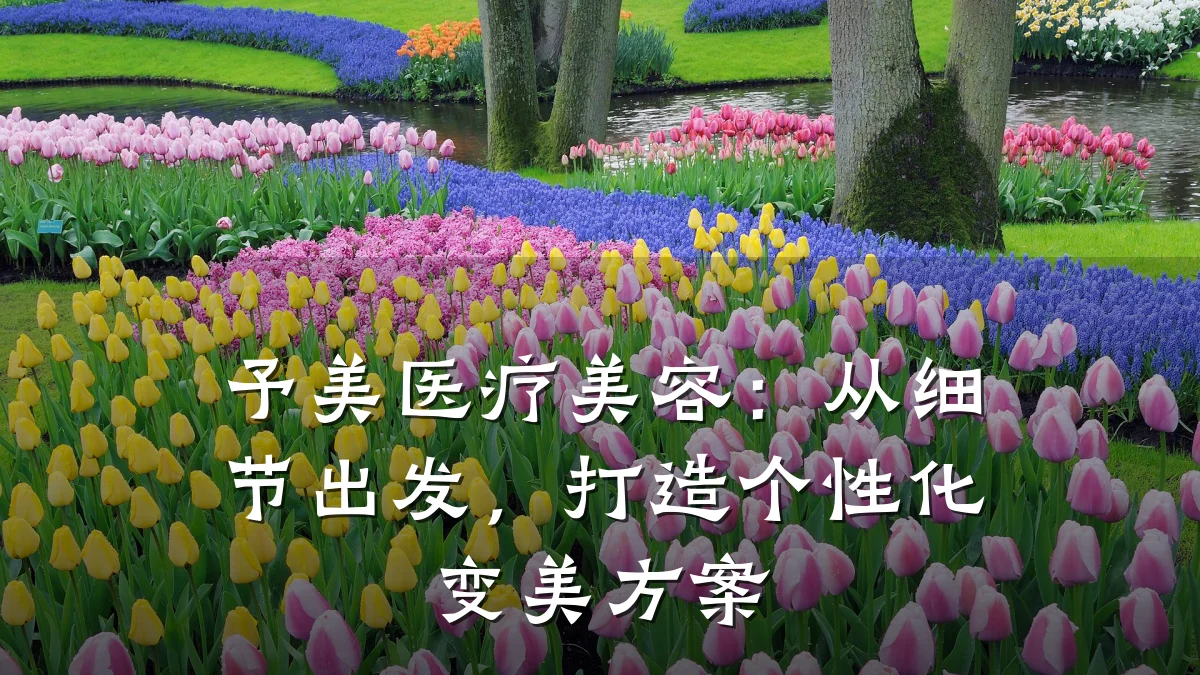 予美医疗美容:从细节出发,打造个性化变美方案
