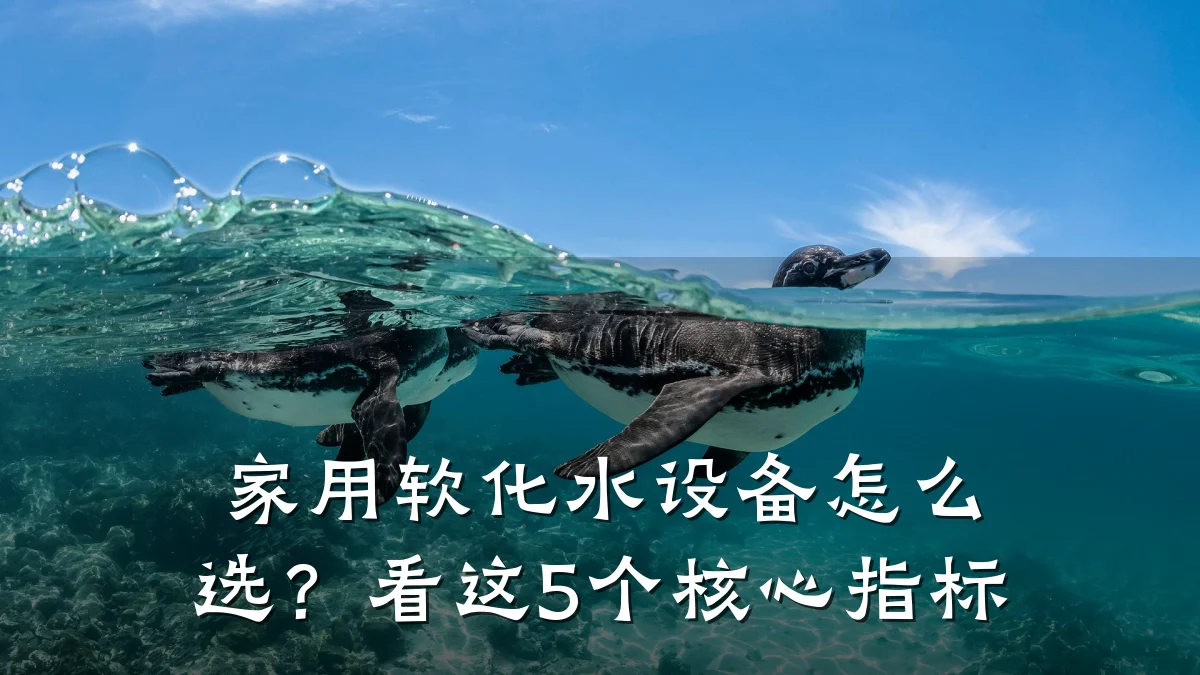 家用软化水设备怎么选?看这5个核心指标