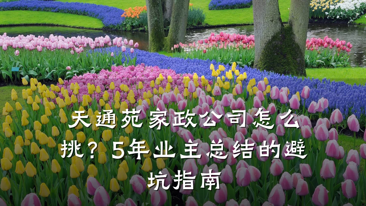 天通苑家政公司怎么挑?5年业主总结的避坑指南