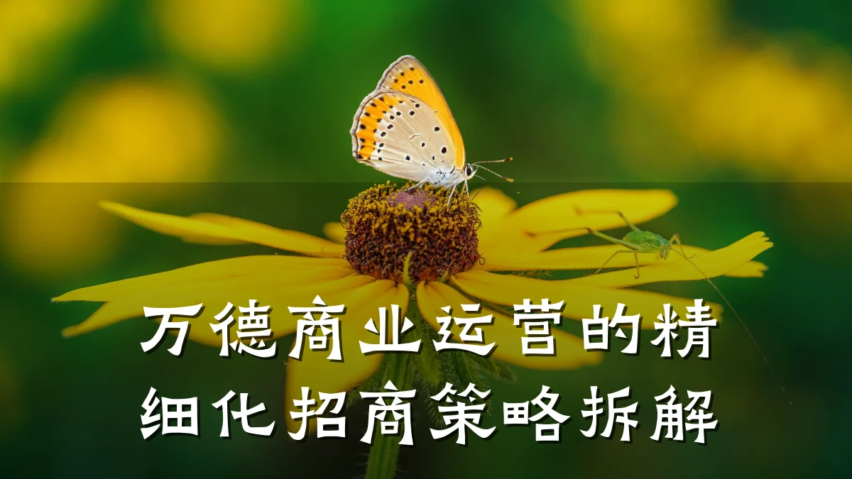 万德商业运营的精细化招商策略拆解