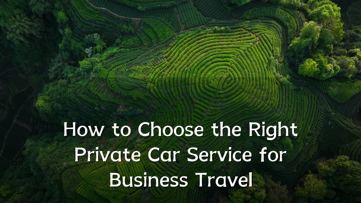 How to Choose the Right Private Car Service for Business Travel