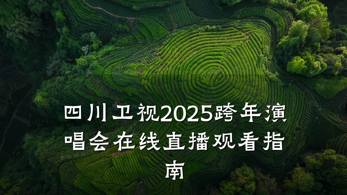 四川卫视2025跨年演唱会在线直播观看指南