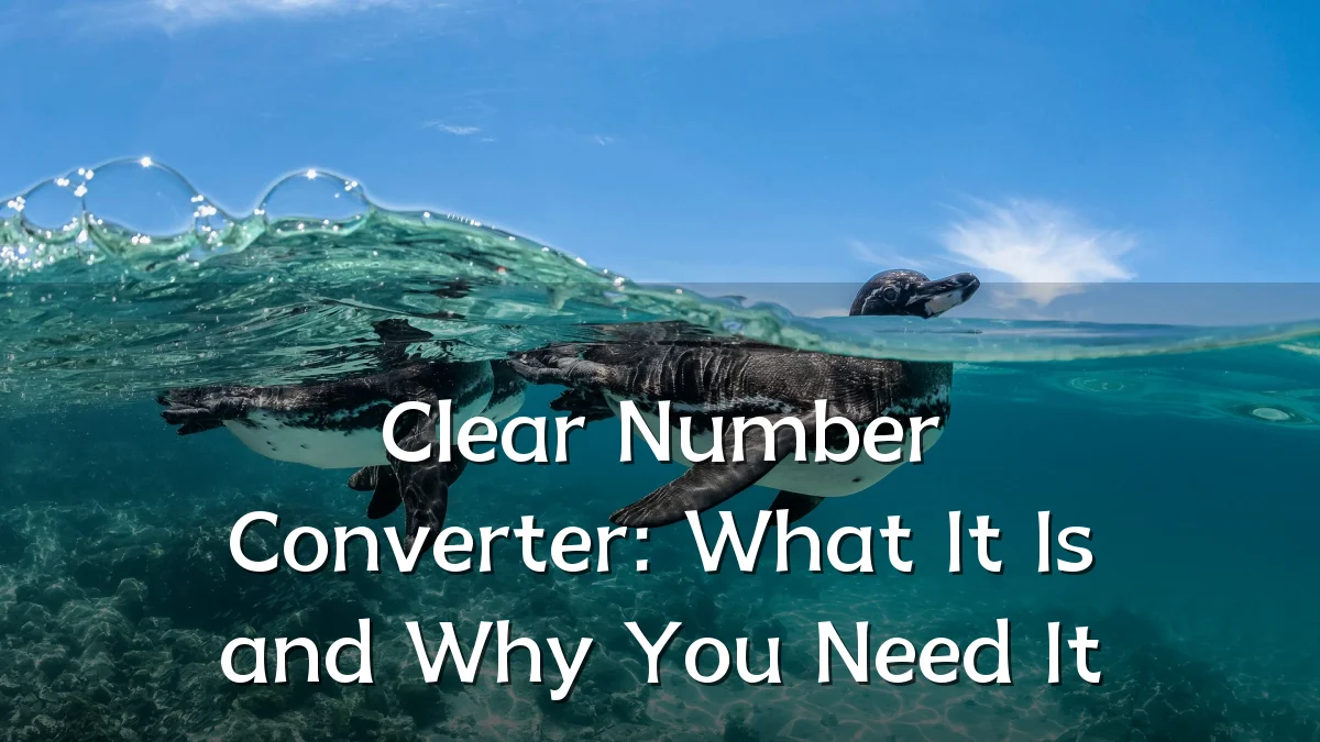 Clear Number Converter: What It Is and Why You Need It