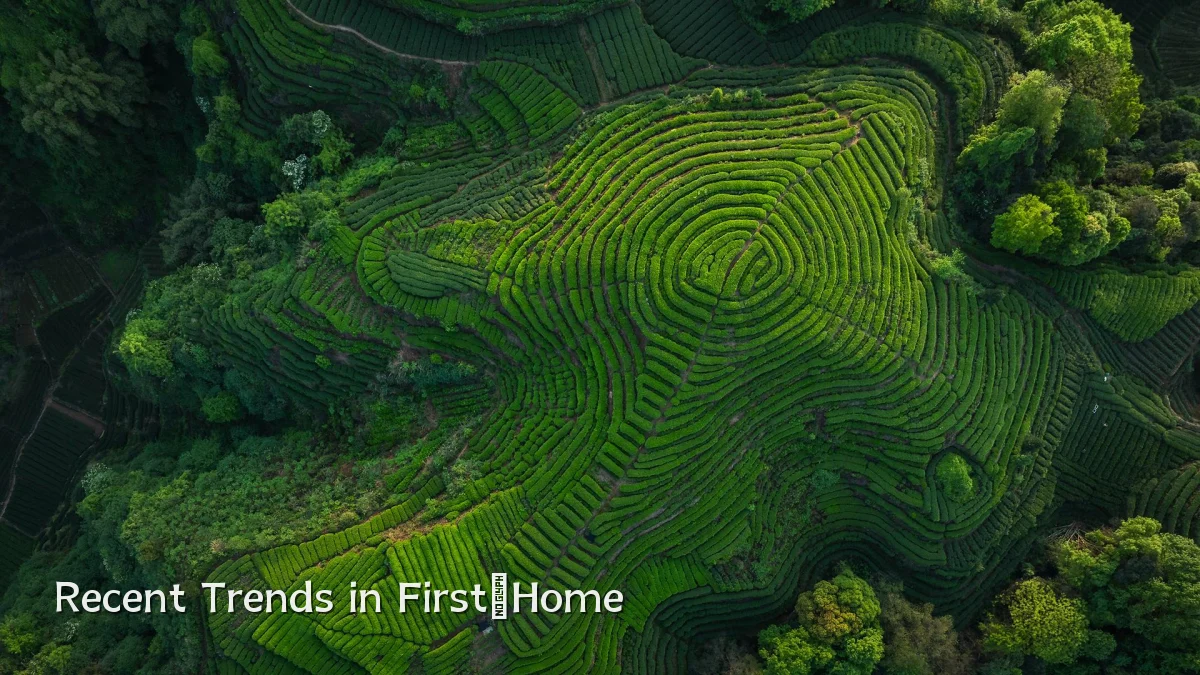 Recent Trends in First‑Home