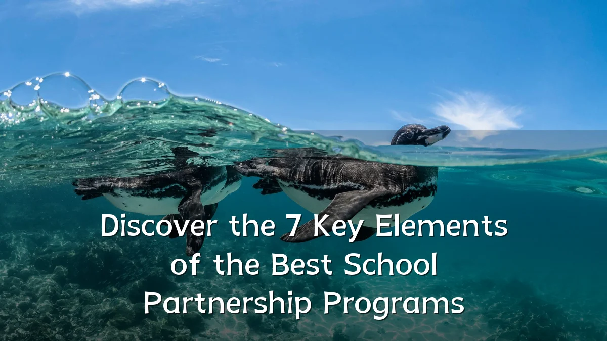 Discover the 7 Key Elements of the Best School Partnership Programs