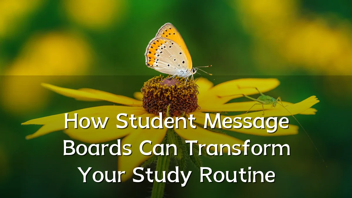 How Student Message Boards Can Transform Your Study Routine