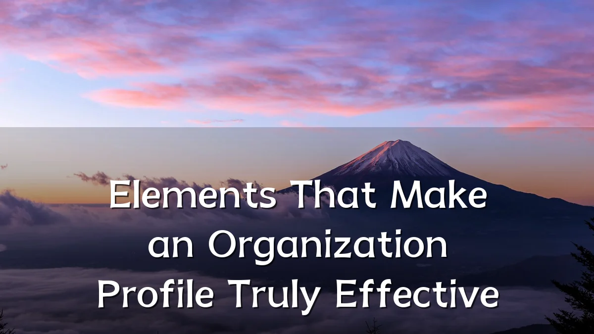 Elements That Make an Organization Profile Truly Effective