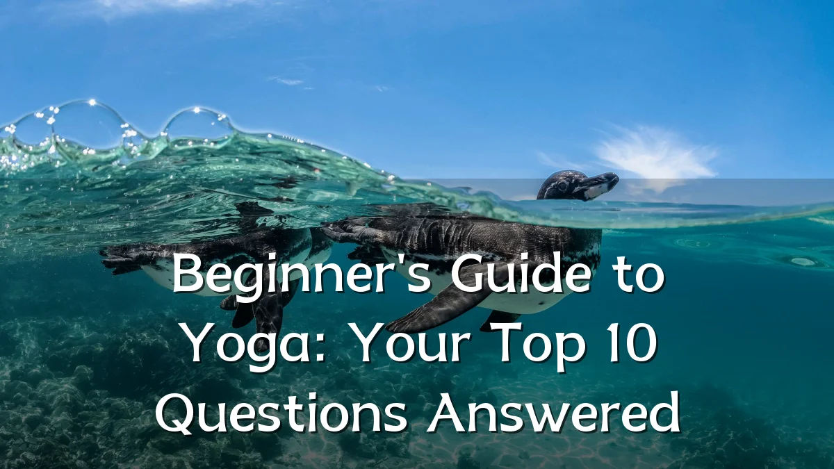 Beginner's Guide to Yoga: Your Top 10 Questions Answered