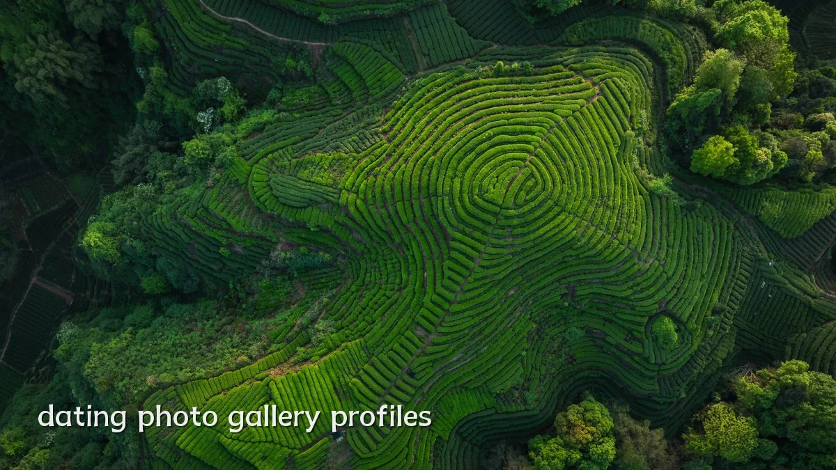 dating photo gallery profiles