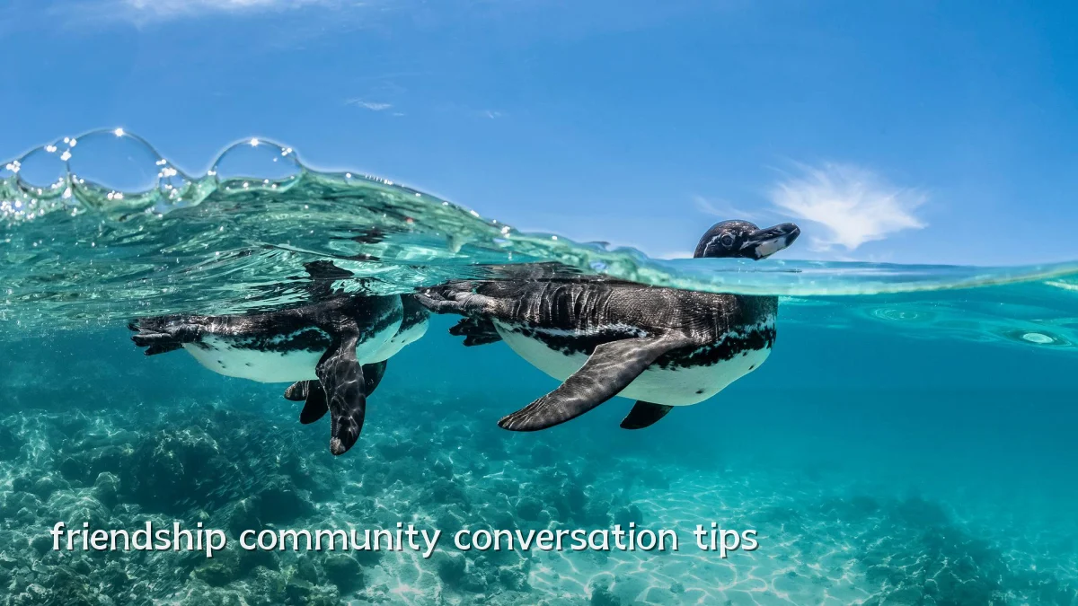 friendship community conversation tips