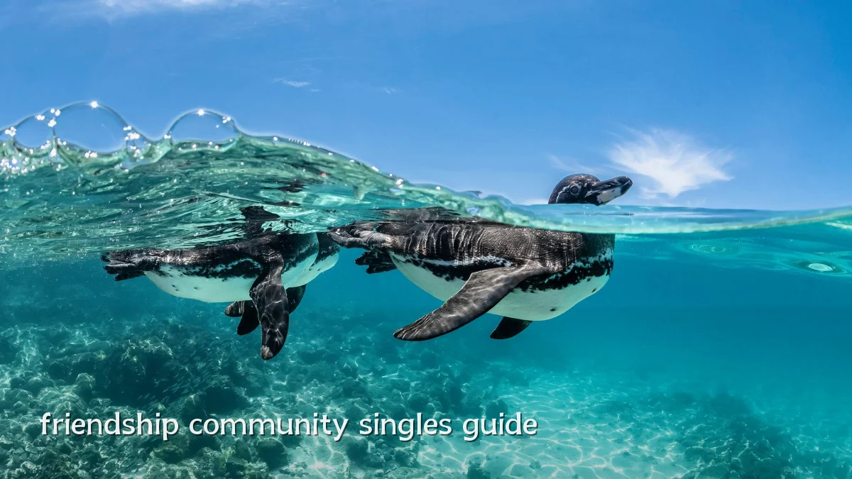 friendship community singles guide