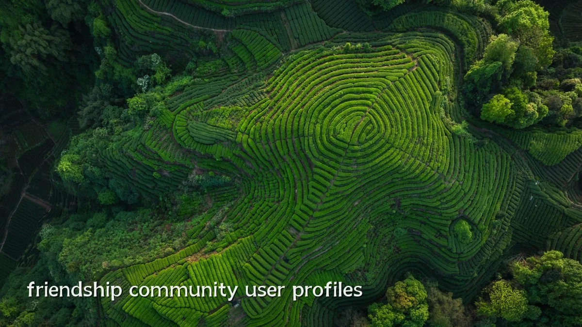 friendship community user profiles
