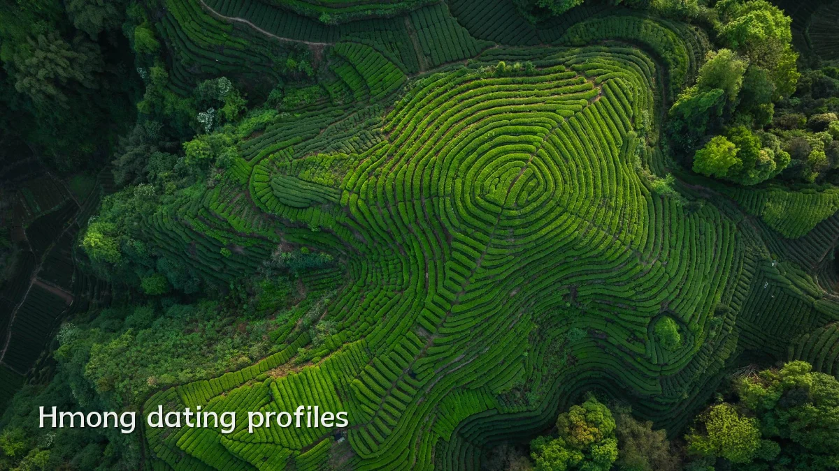 Hmong dating profiles