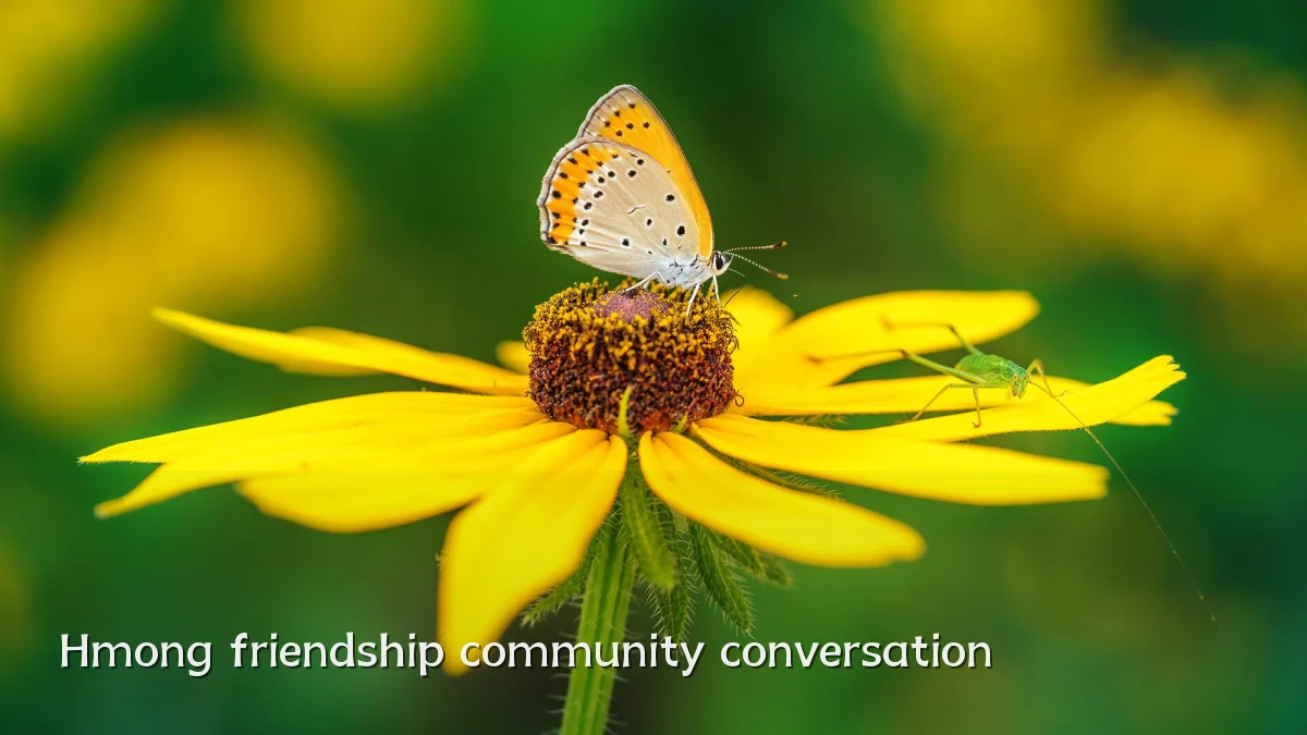 Hmong friendship community conversation