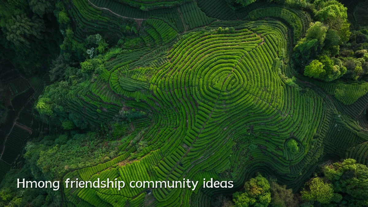 Hmong friendship community ideas
