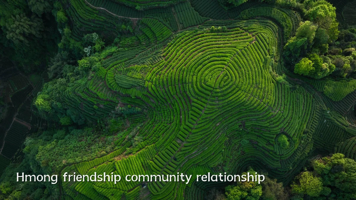Hmong friendship community relationship