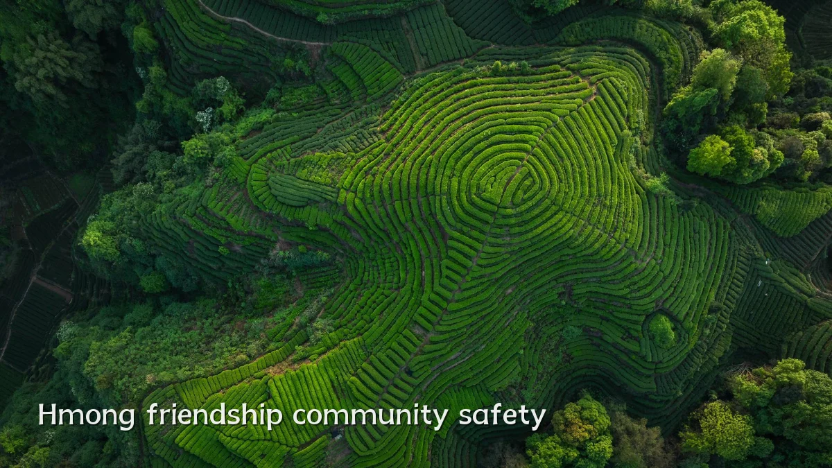 Hmong friendship community safety