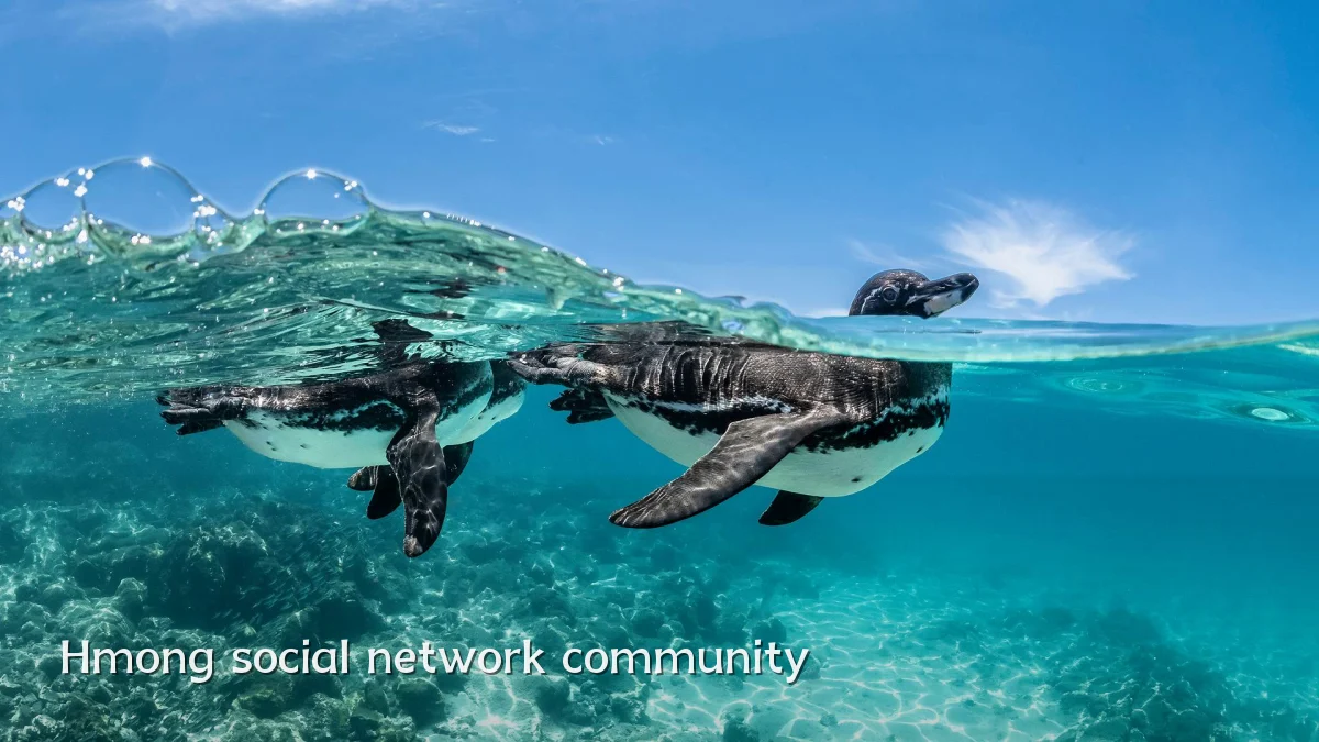Hmong social network community