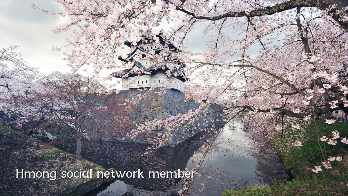 Hmong social network member