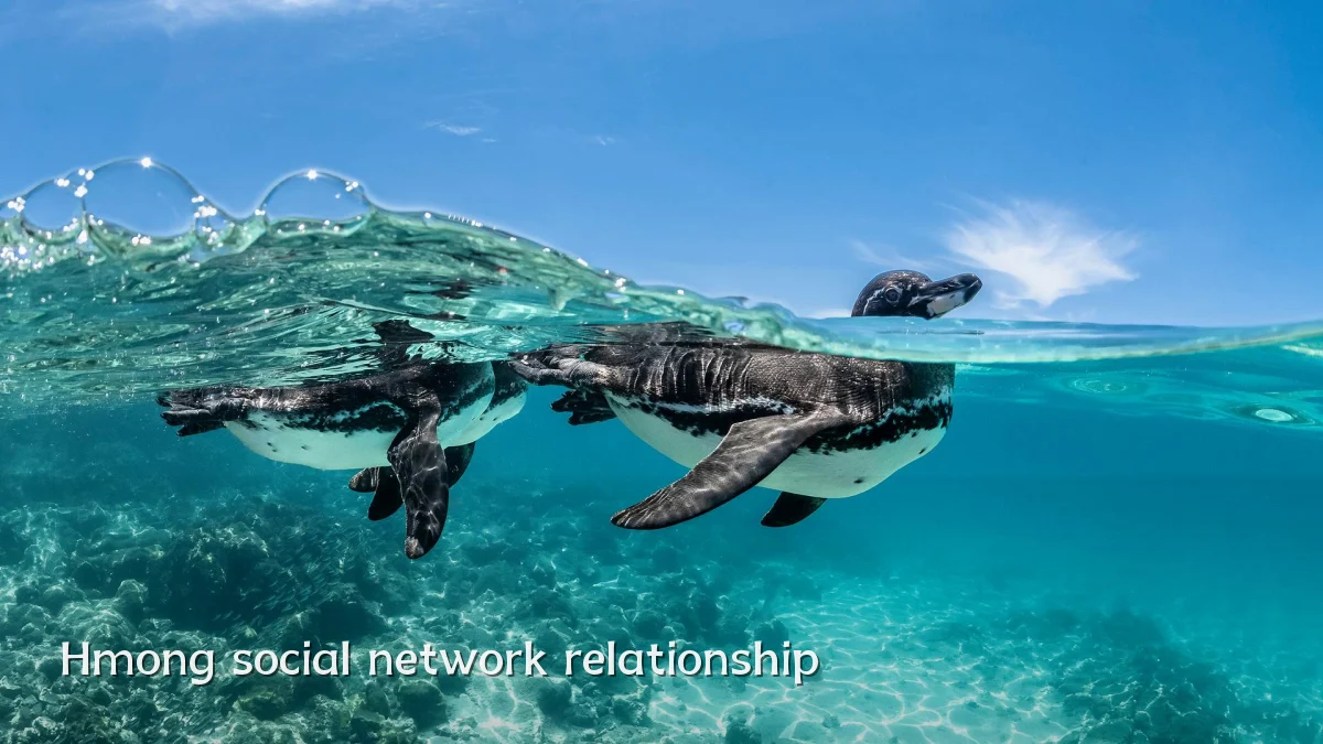 Hmong social network relationship