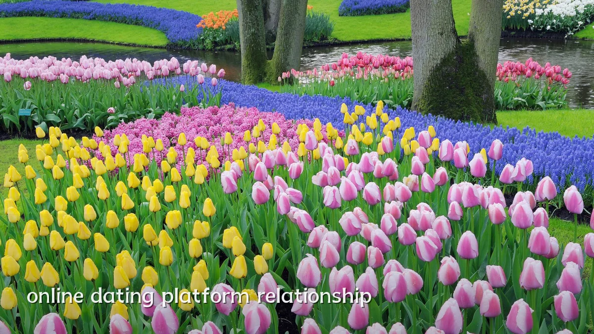online dating platform relationship