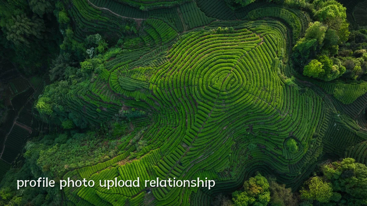 profile photo upload relationship