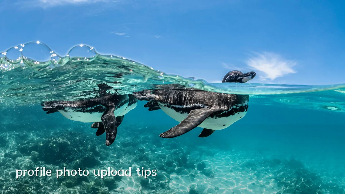 profile photo upload tips