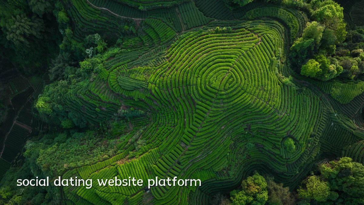 social dating website platform