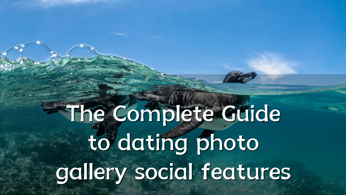 The Complete Guide to dating photo gallery social features