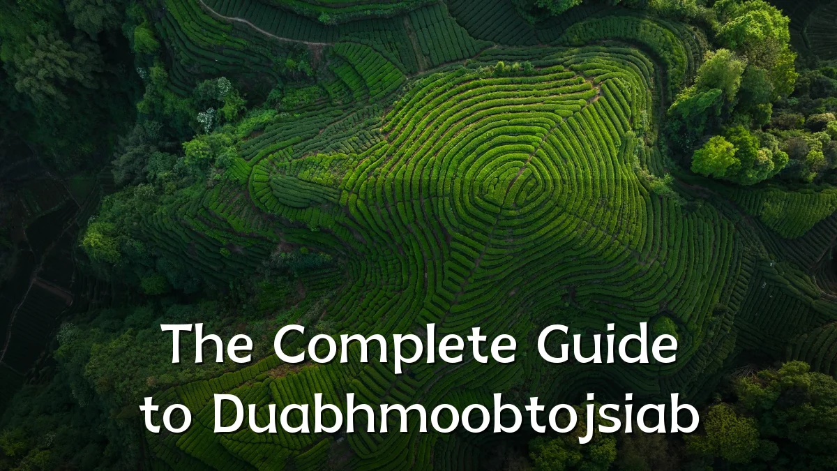 The Complete Guide to Duabhmoobtojsiab