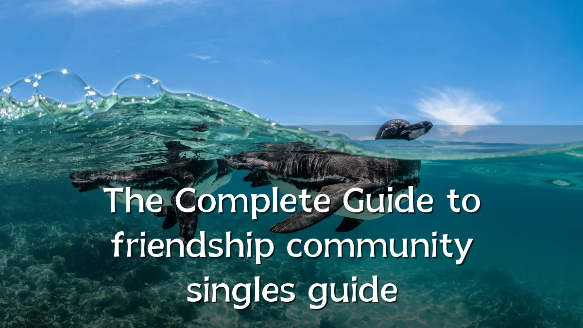 The Complete Guide to friendship community singles guide