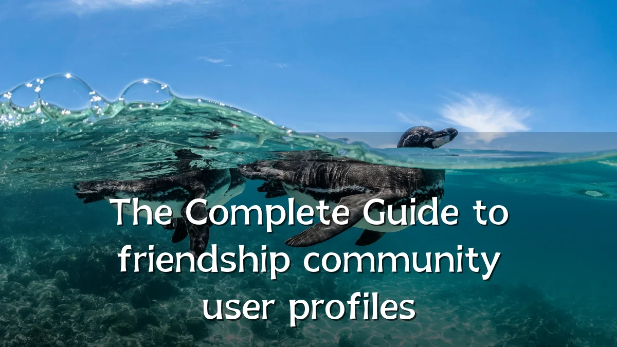 The Complete Guide to friendship community user profiles