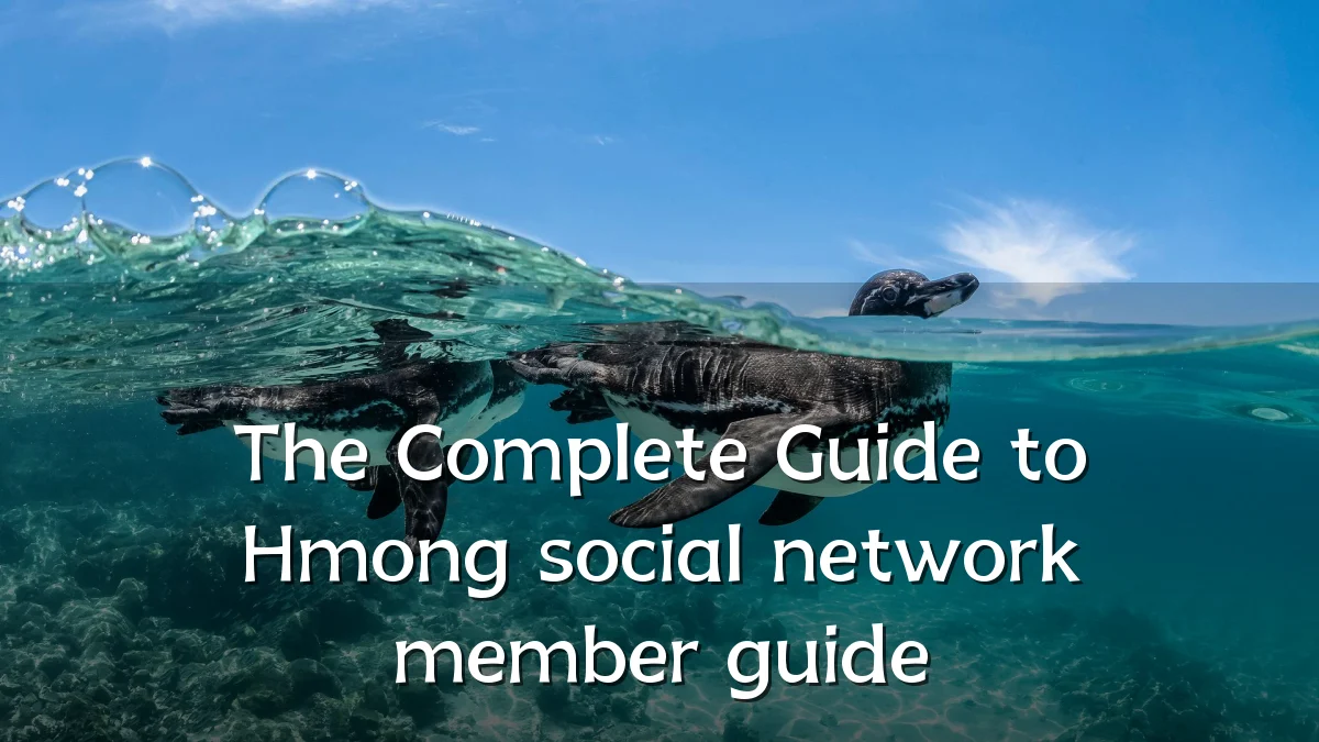 The Complete Guide to Hmong social network member guide