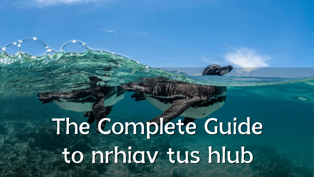 The Complete Guide to nrhiav tus hlub