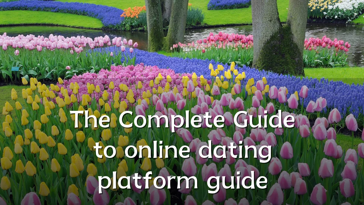The Complete Guide to online dating platform guide
