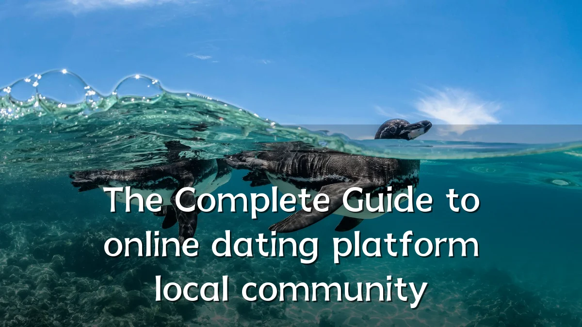 The Complete Guide to online dating platform local community