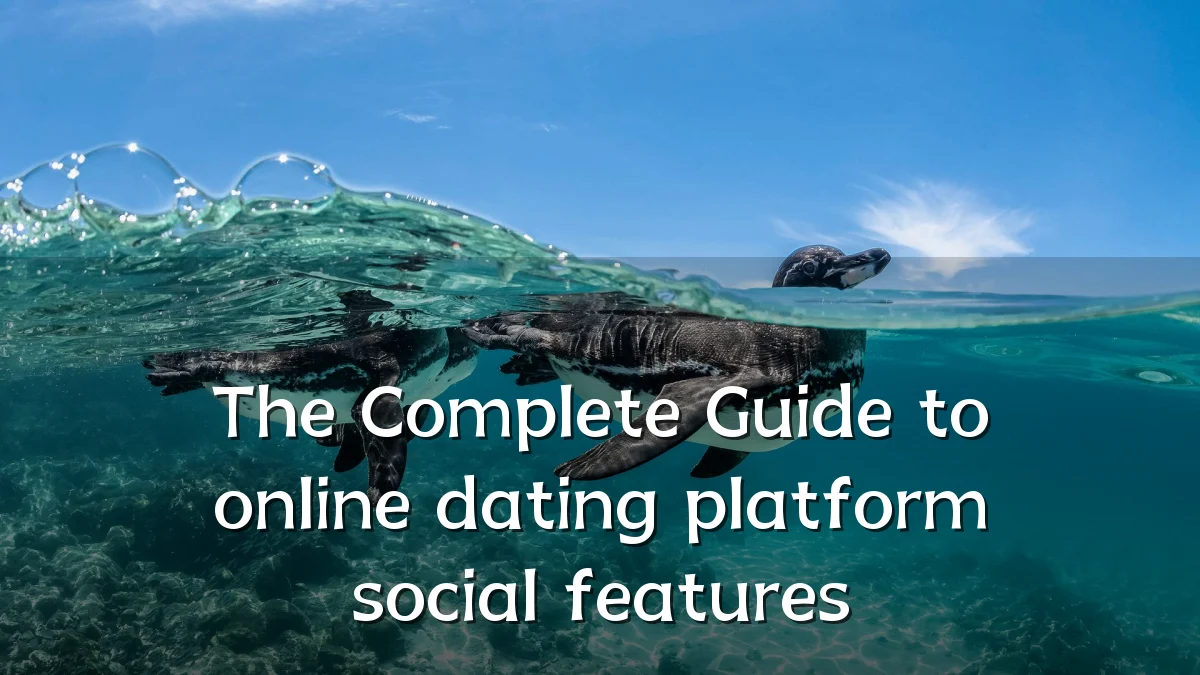 The Complete Guide to online dating platform social features
