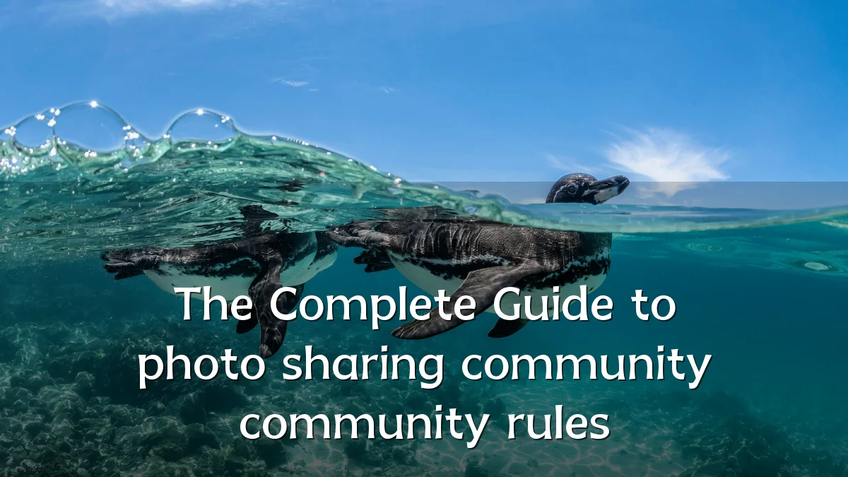 The Complete Guide to photo sharing community community rules
