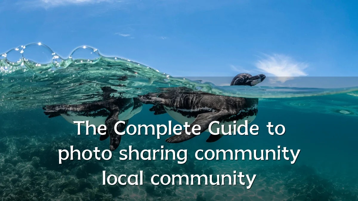 The Complete Guide to photo sharing community local community