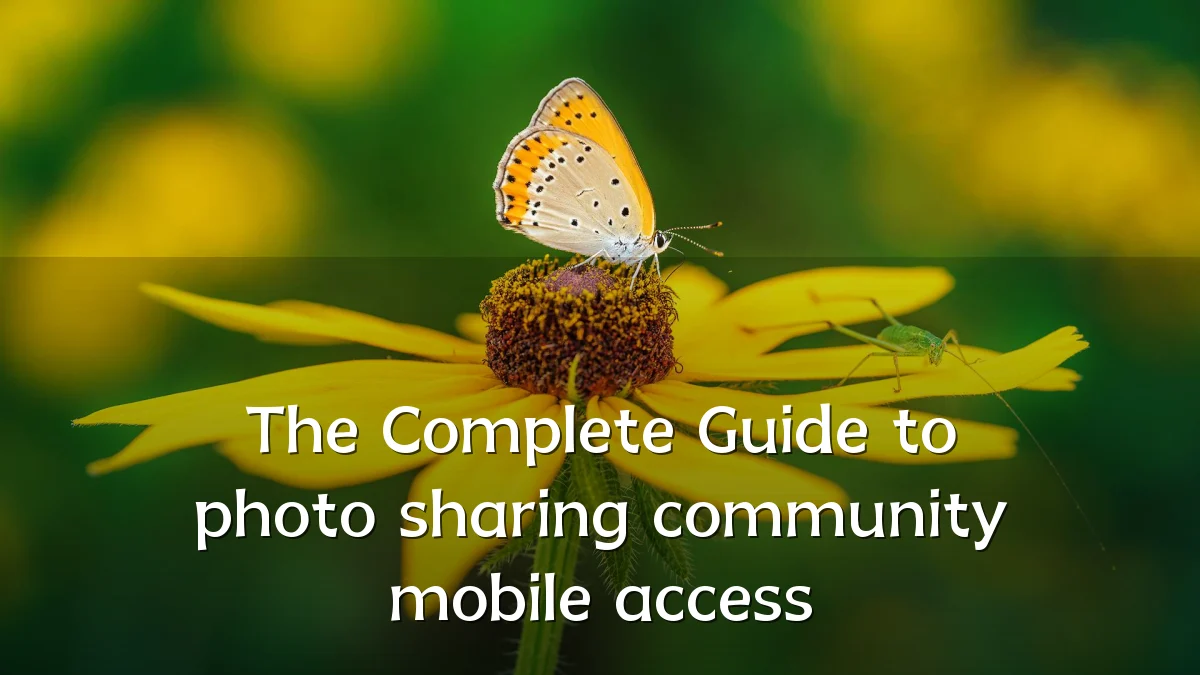 The Complete Guide to photo sharing community mobile access