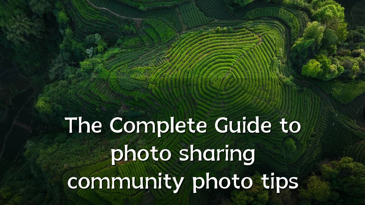 The Complete Guide to photo sharing community photo tips