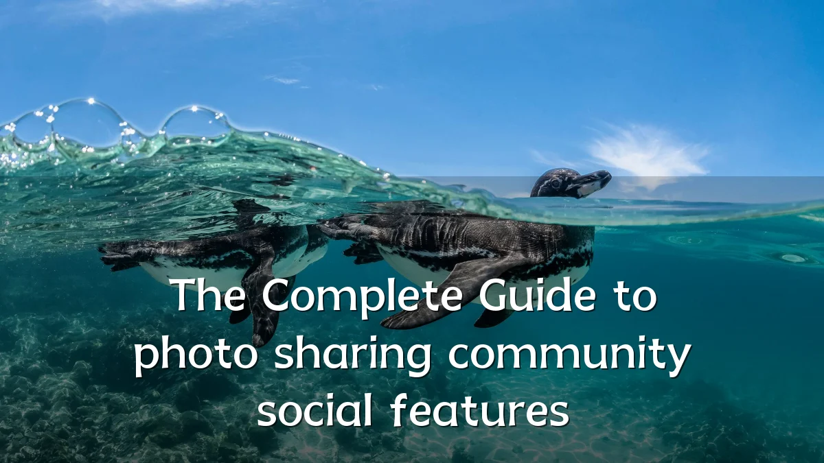 The Complete Guide to photo sharing community social features