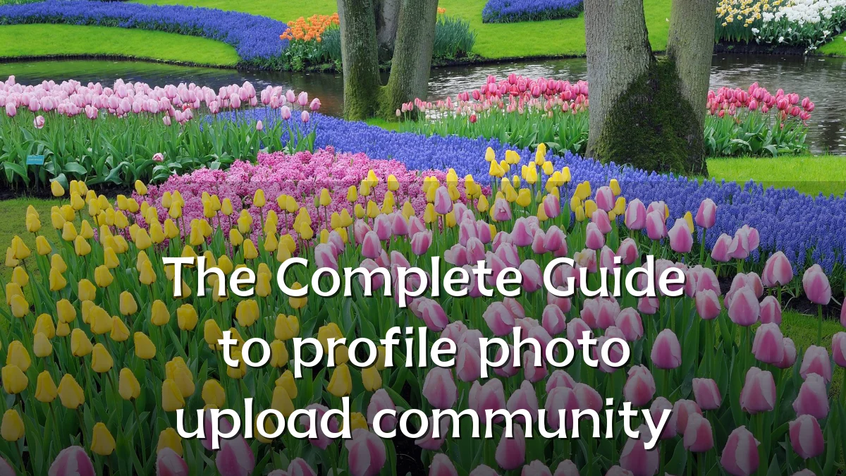 The Complete Guide to profile photo upload community