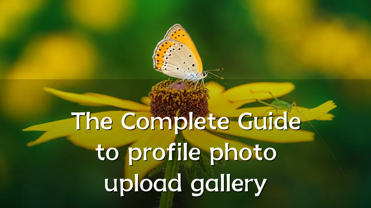 The Complete Guide to profile photo upload gallery