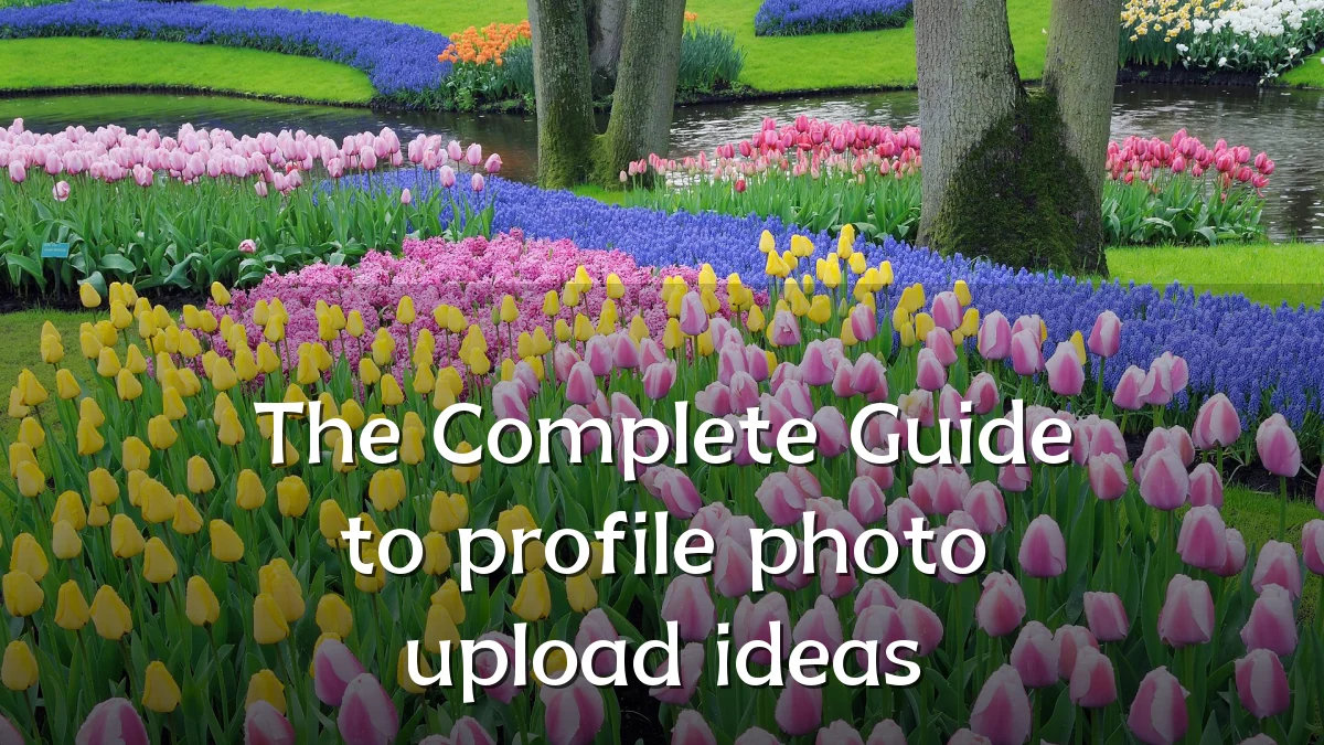 The Complete Guide to profile photo upload ideas