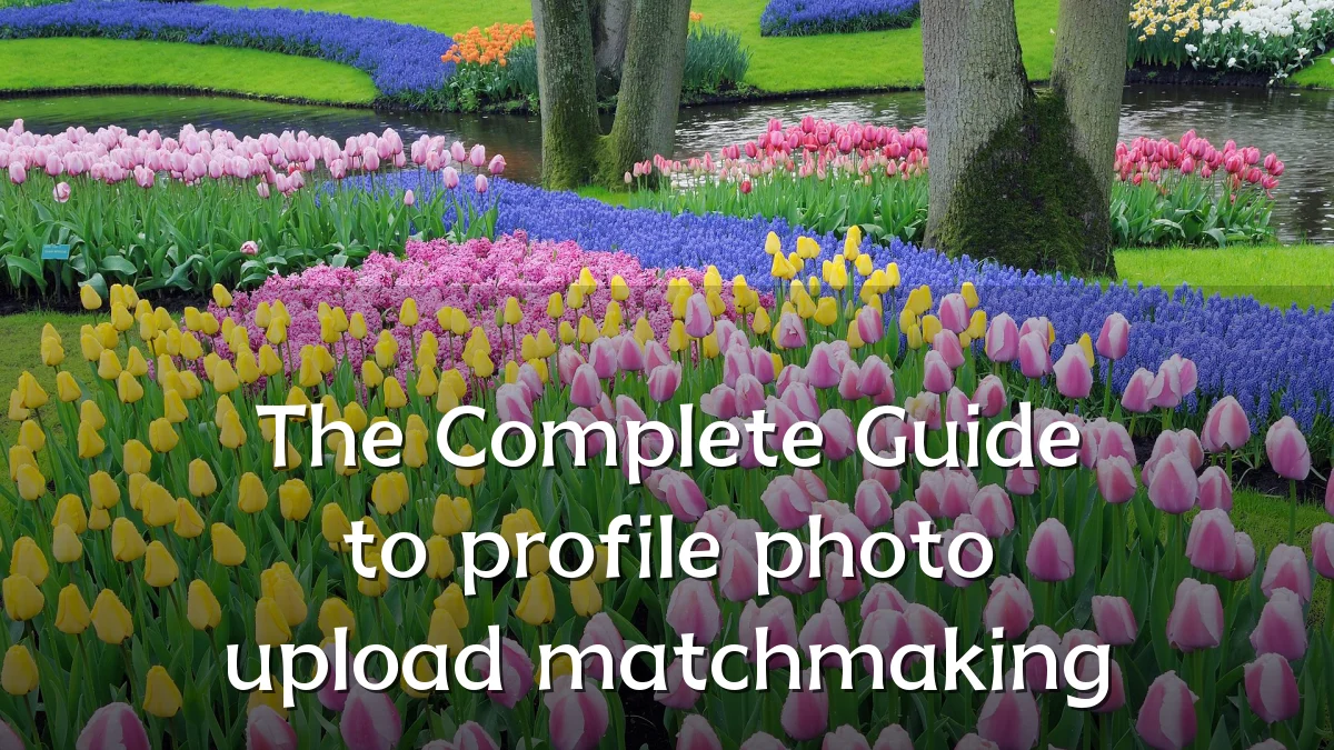 The Complete Guide to profile photo upload matchmaking