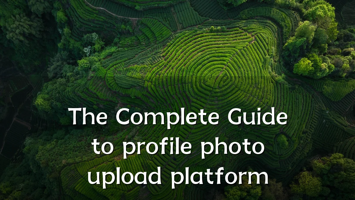 The Complete Guide to profile photo upload platform