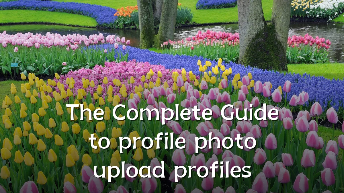 The Complete Guide to profile photo upload profiles